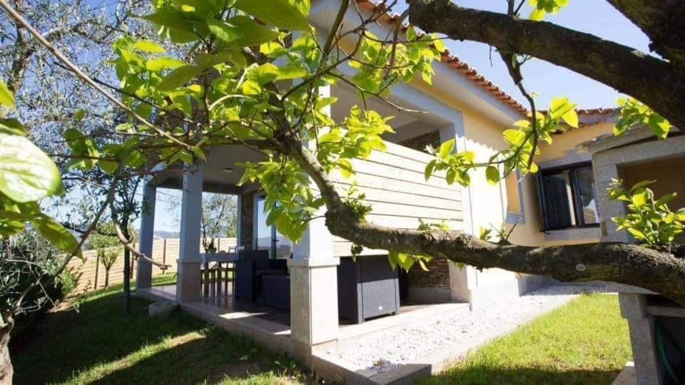Casas Do Paco - Casas De Ferias Cabeceiras de Basto Kültér fotó