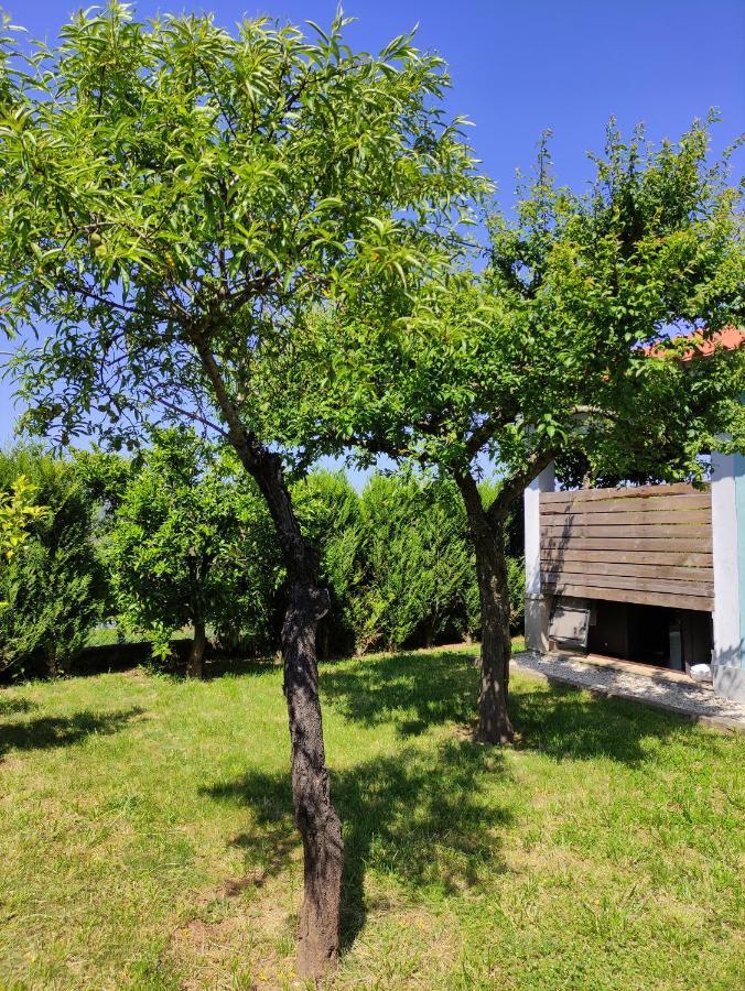 Casas Do Paco - Casas De Ferias Cabeceiras de Basto Kültér fotó